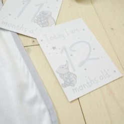 Disney Dumbo Baby Milestone Blanket Patterned, Polyester, Blankets & Throws 12 Disney Dumbo Baby Milestone Blanket Patterned, Polyester, Blankets & Throws -All Kids And Nursery Sales 2024 1000182256 alt04